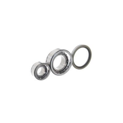 Set rulment roata SKF VKBA 5025