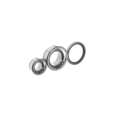 Set rulment roata SKF VKBA 5025