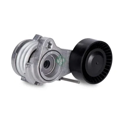 Intinzator curea, curea distributie INA 534 0252 10
