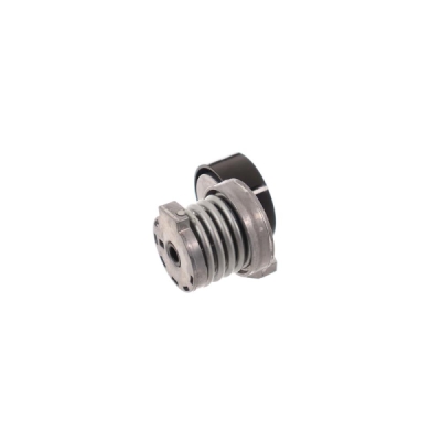 Intinzator curea, curea distributie SKF VKM 36146
