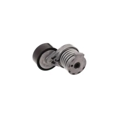 Intinzator curea, curea distributie SKF VKM 36146
