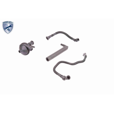 Set reparatie, aerisire baie ulei VAICO V20-1873