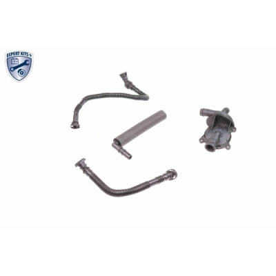 Set reparatie, aerisire baie ulei VAICO V20-1873