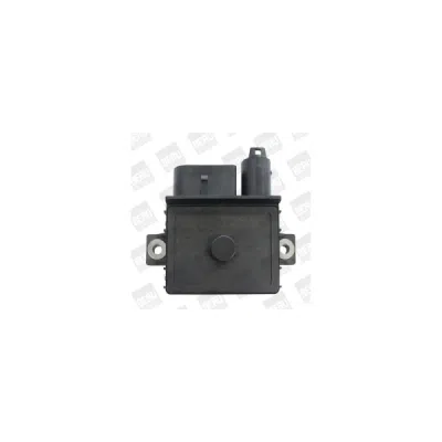 Unitate de control, bujii incandescente BorgWarner (BERU) GSE108