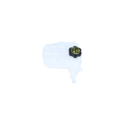 Vas de expansiune, racire NRF 454117