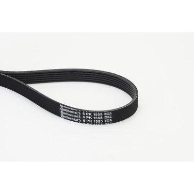 Curea transmisie cu caneluri CONTINENTAL CTAM 6PK1555