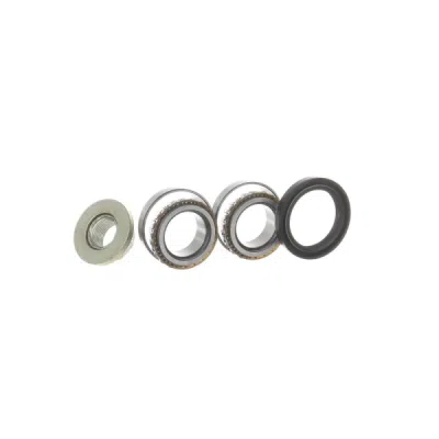 Set rulment roata SKF VKBA 3666