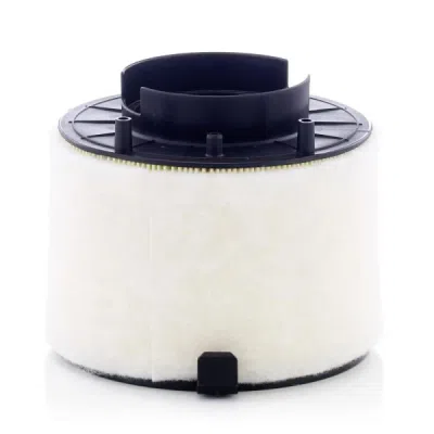 Filtru aer MANN-FILTER C 17 009
