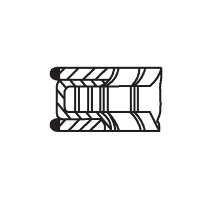 Set segmenti piston MAHLE 022 16 N0