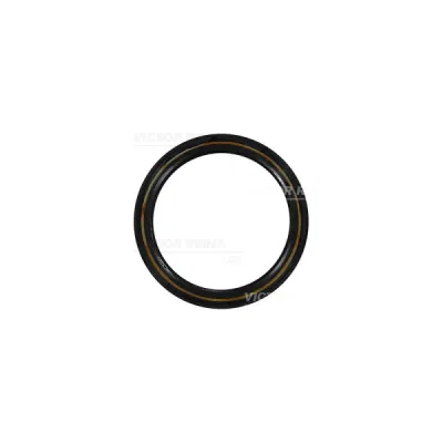 Simering, arbore cotit VICTOR REINZ 81-34417-10