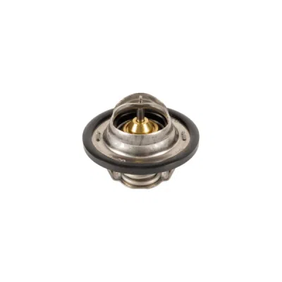 Termostat, lichid racire SWAG 60 92 4028