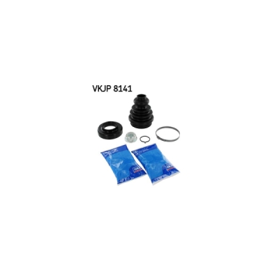 Ansamblu burduf, articulatie planetara SKF VKJP 8141