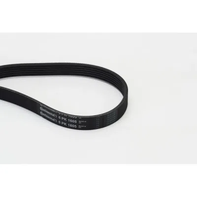 Curea transmisie cu caneluri CONTINENTAL CTAM 6PK1605