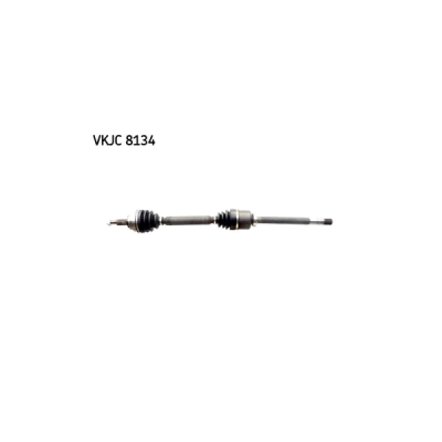 Planetara SKF VKJC 8134