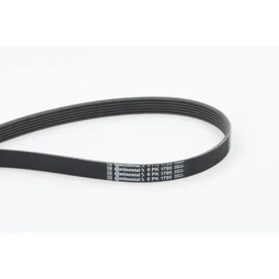 Curea transmisie cu caneluri CONTINENTAL CTAM 6PK1795