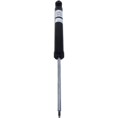 Amortizor SACHS 290 965