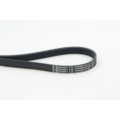 Curea transmisie cu caneluri CONTINENTAL CTAM 6PK1019 ELAST