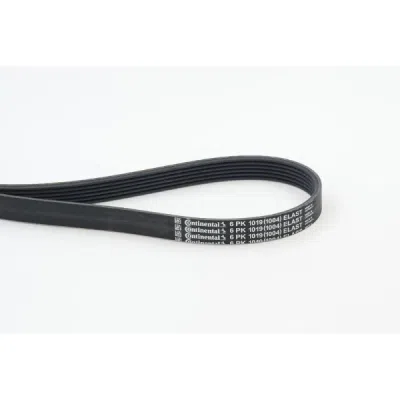 Curea transmisie cu caneluri CONTINENTAL CTAM 6PK1019 ELAST