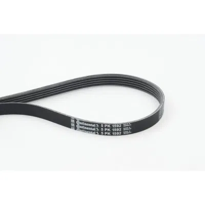 Curea transmisie cu caneluri CONTINENTAL CTAM 5PK1592