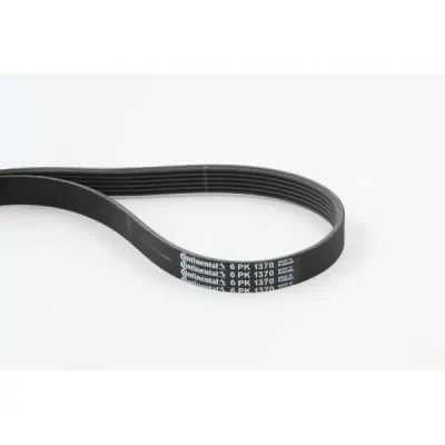 Curea transmisie cu caneluri CONTINENTAL CTAM 6PK1370
