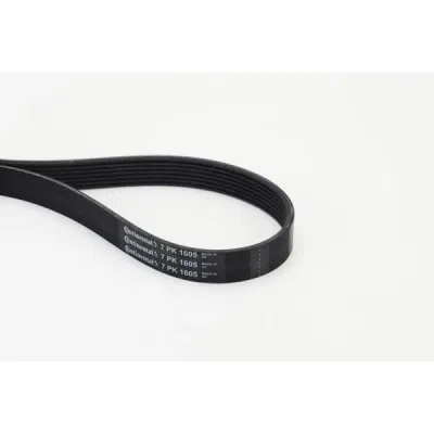 Curea transmisie cu caneluri CONTINENTAL CTAM 7PK1605