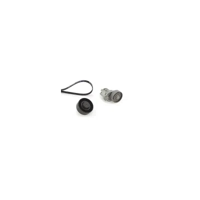 Set curea transmisie cu caneluri GATES K096PK1693