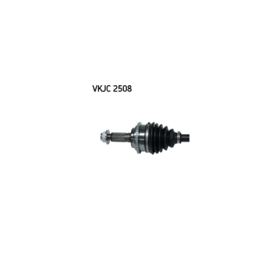 Planetara SKF VKJC 2508