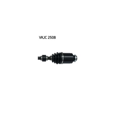 Planetara SKF VKJC 2508
