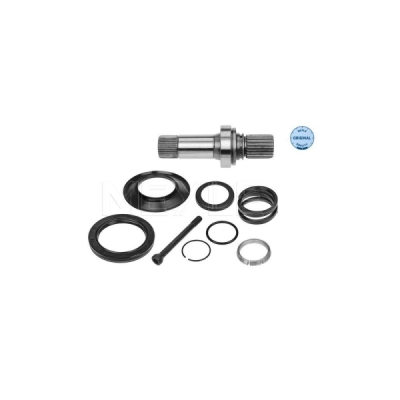 Arbore, diferential MEYLE 100 498 0248