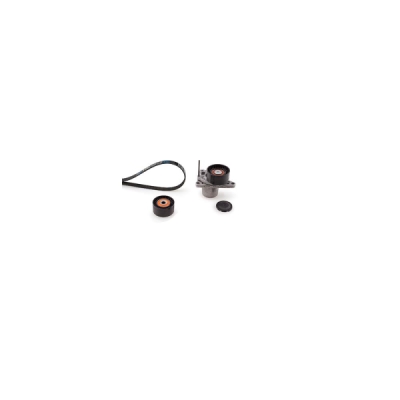 Set curea transmisie cu caneluri GATES K017PK1675
