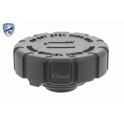 Buson, vas expansiune VAICO V30-0399-1