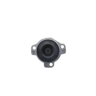 Pompa apa, racire motor VALEO 529200