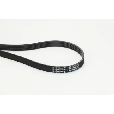 Curea transmisie cu caneluri CONTINENTAL CTAM 6PK1642
