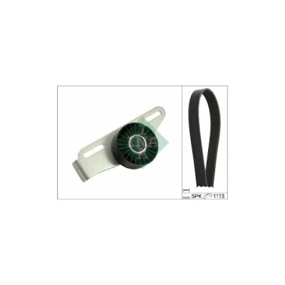 Set curea transmisie cu caneluri INA 529 0441 10