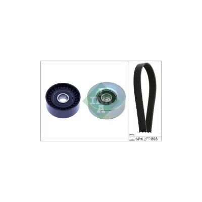 Set curea transmisie cu caneluri INA 529 0532 10