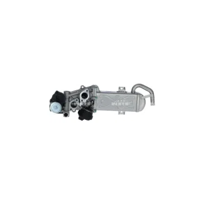 Supapa EGR NRF 48213
