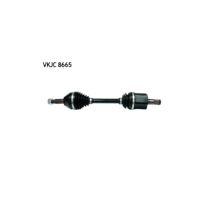 Planetara SKF VKJC 8665