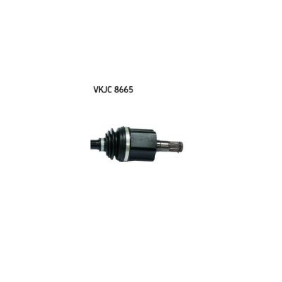 Planetara SKF VKJC 8665