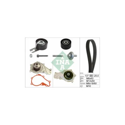 Set pompa apa + curea dintata INA 530 0375 30