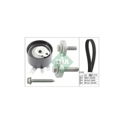 Set curea de distributie INA 530 0197 10
