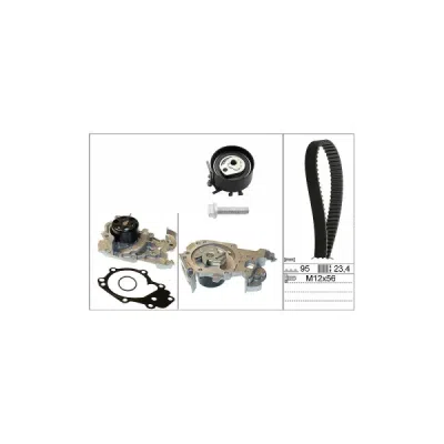 Set pompa apa + curea dintata INA 530 0195 30