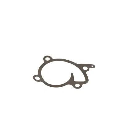 Pompa apa, racire motor VALEO 529202