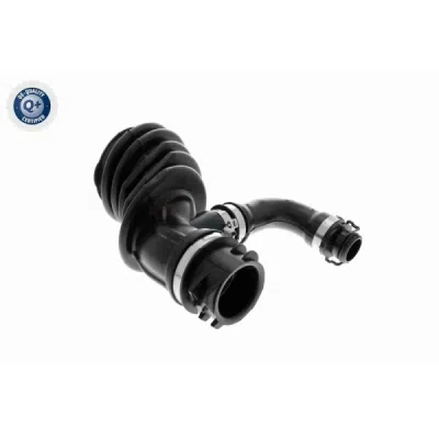 Palnie, filtru de aer VAICO V25-0793