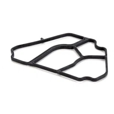 Garnitura carcasa filtru ulei ORIGINAL BMW 11427787695