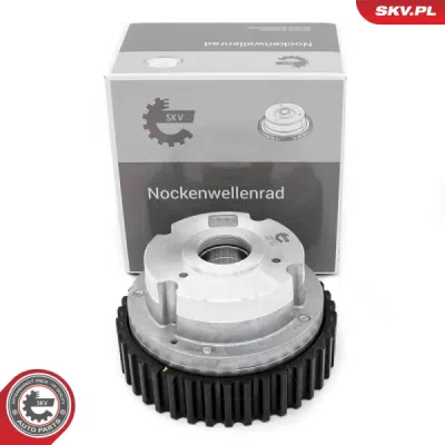 Regulator ax cu came [evacuare] SKV 39SKV511