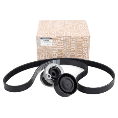 Set curea transmisie cu caneluri ORIGINAL RENAULT 117202495R