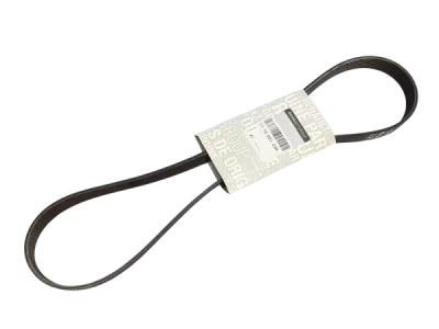 Curea transmisie cu caneluri ORIGINAL RENAULT 117205123R