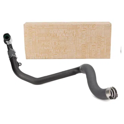 Furtun aer supraalimentare ORIGINAL RENAULT 8200962920