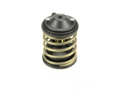 Termostat lichid racire ORIGINAL BMW 11518588945