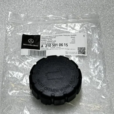 Buson, vas expansiune ORIGINAL MERCEDES A2105010615